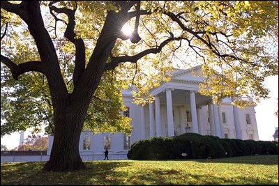 KI-Sicherheitsabkommen White House: Trump und Tech-CEOs unterzeichnen freiwillige Selbstkontrolle